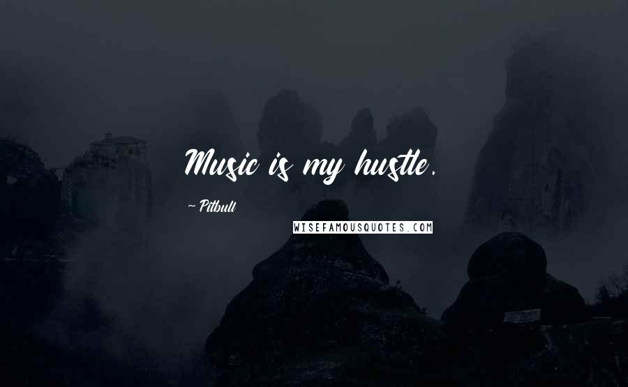 Pitbull Quotes: Music is my hustle.