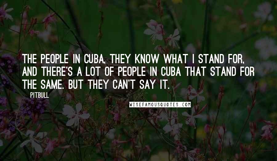 Pitbull Quotes: The people in Cuba, they know what I stand for, and there's a lot of people in Cuba that stand for the same. But they can't say it.