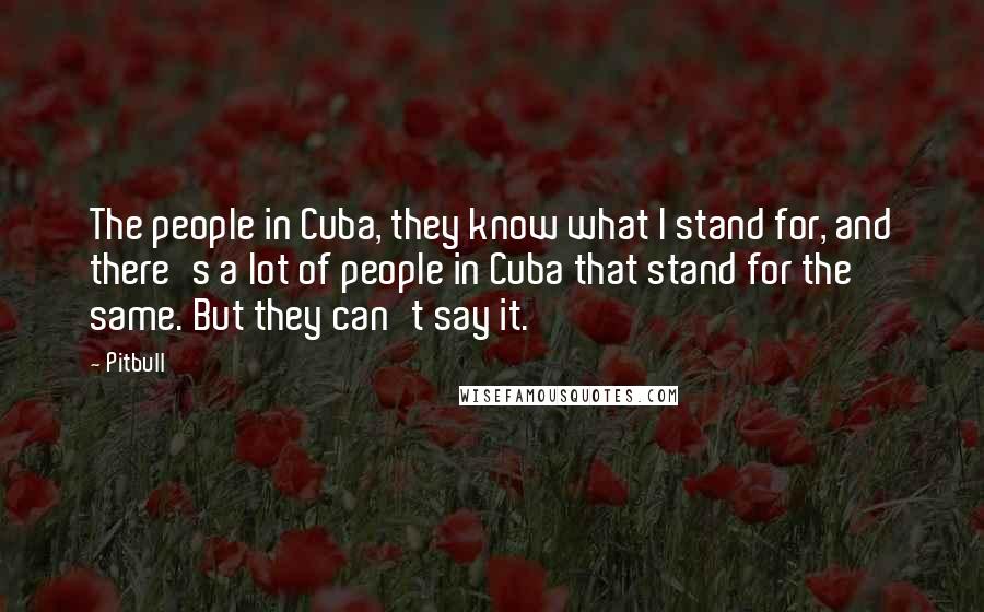 Pitbull Quotes: The people in Cuba, they know what I stand for, and there's a lot of people in Cuba that stand for the same. But they can't say it.