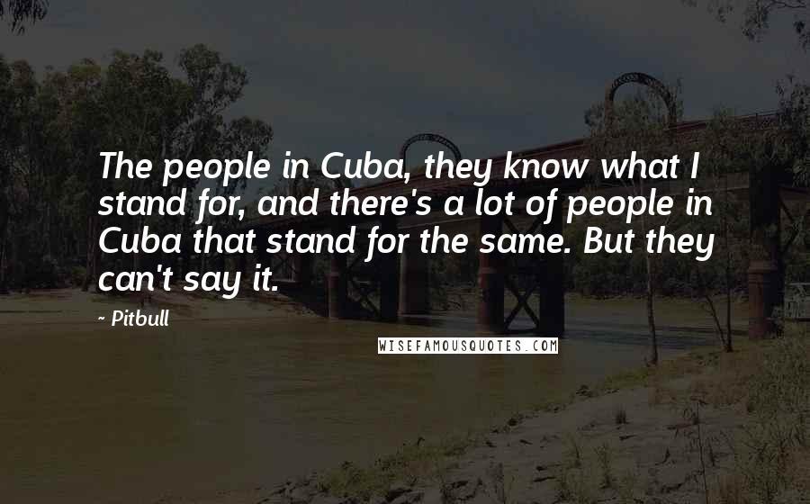 Pitbull Quotes: The people in Cuba, they know what I stand for, and there's a lot of people in Cuba that stand for the same. But they can't say it.