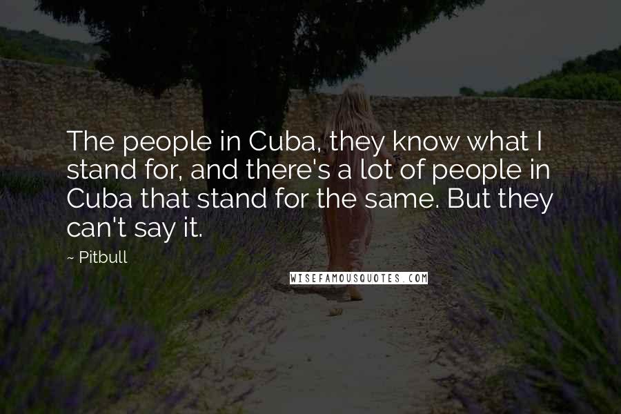Pitbull Quotes: The people in Cuba, they know what I stand for, and there's a lot of people in Cuba that stand for the same. But they can't say it.