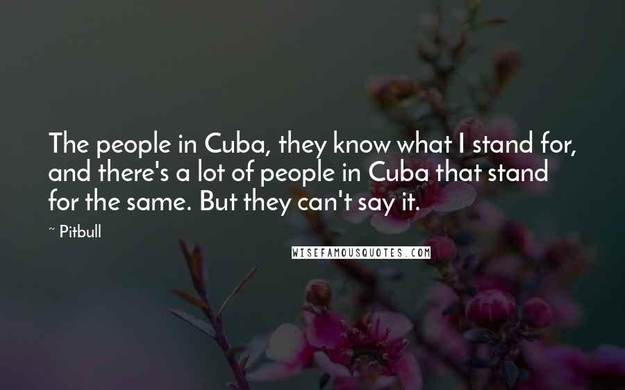 Pitbull Quotes: The people in Cuba, they know what I stand for, and there's a lot of people in Cuba that stand for the same. But they can't say it.