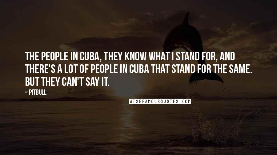 Pitbull Quotes: The people in Cuba, they know what I stand for, and there's a lot of people in Cuba that stand for the same. But they can't say it.