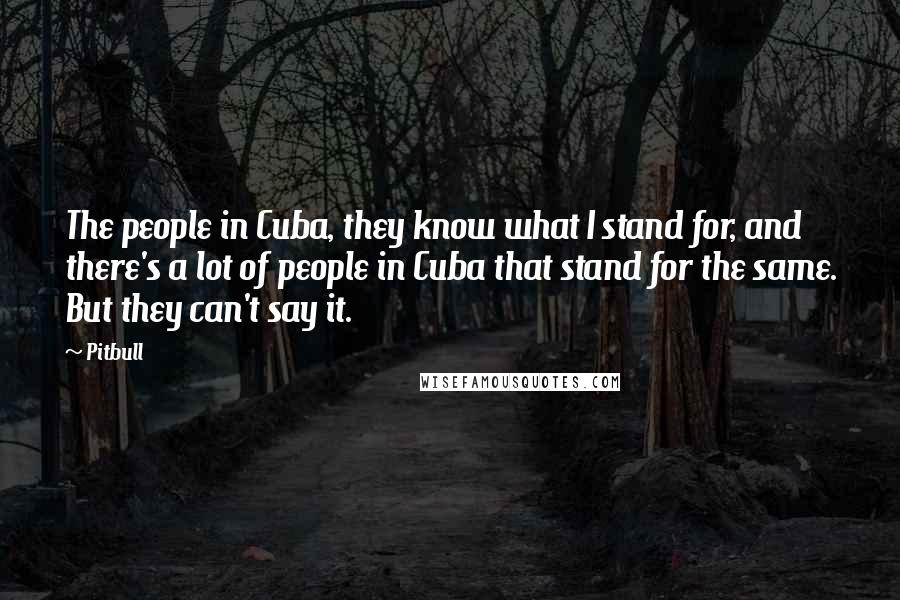 Pitbull Quotes: The people in Cuba, they know what I stand for, and there's a lot of people in Cuba that stand for the same. But they can't say it.
