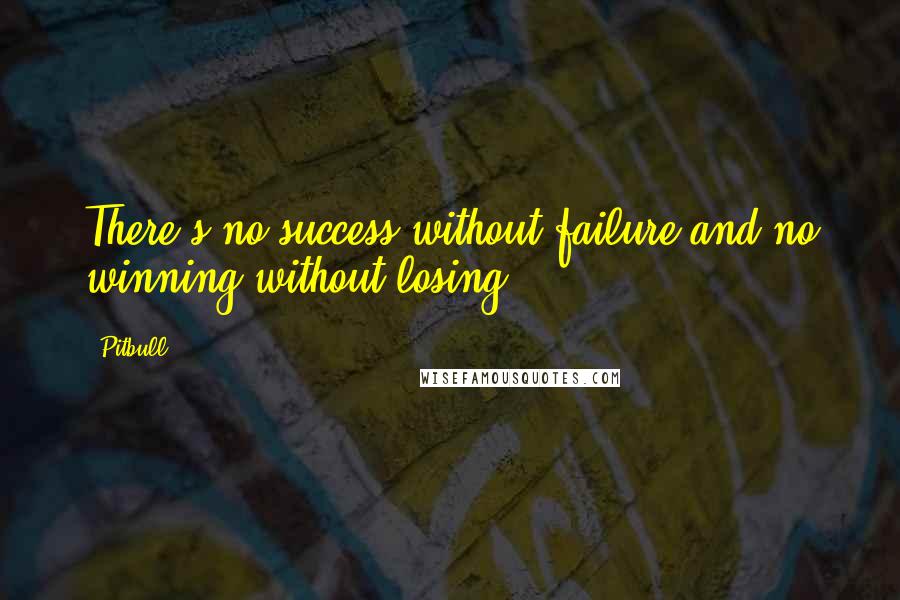 Pitbull Quotes: There's no success without failure and no winning without losing.
