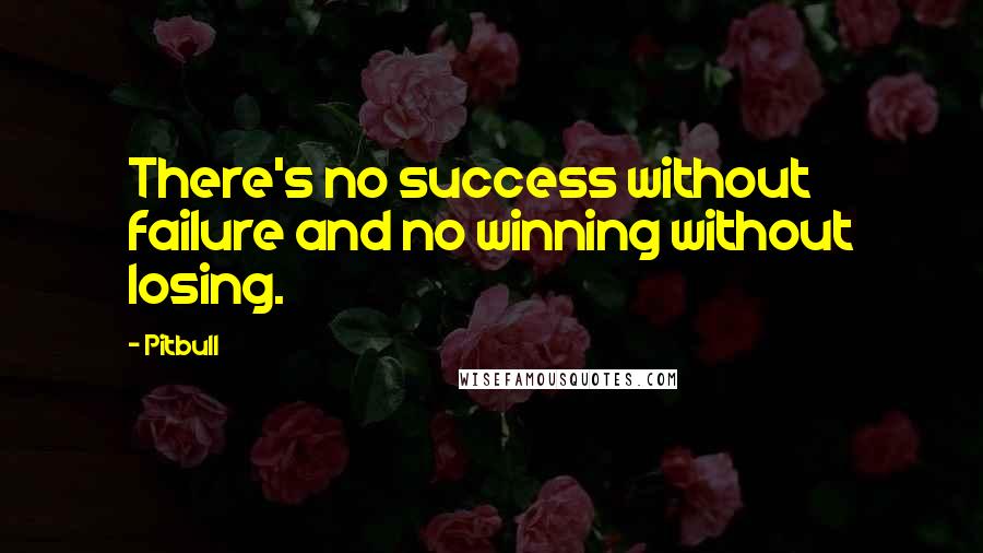Pitbull Quotes: There's no success without failure and no winning without losing.