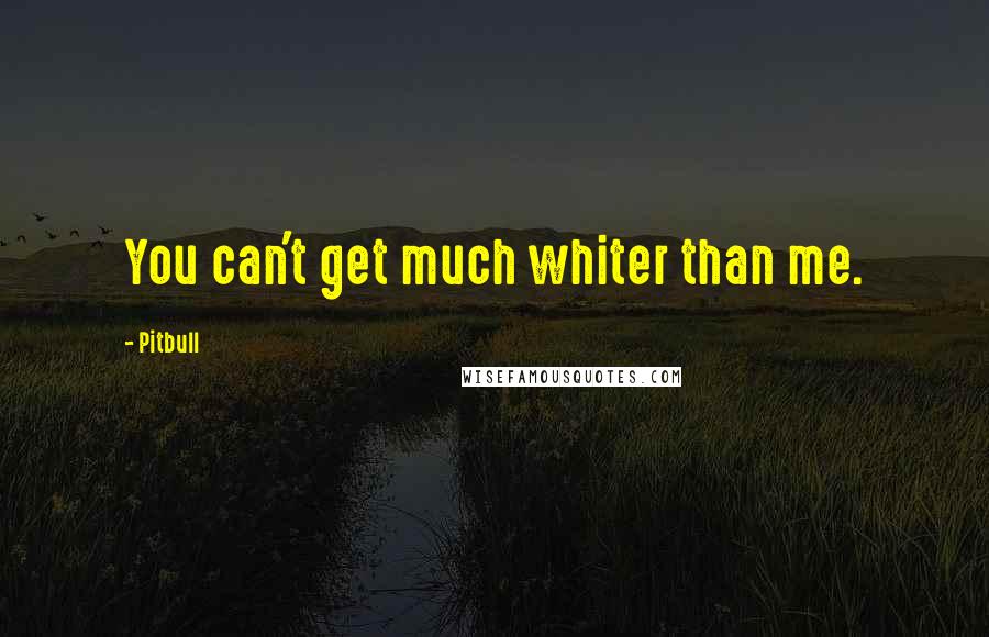 Pitbull Quotes: You can't get much whiter than me.