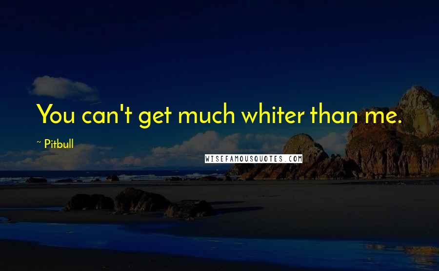 Pitbull Quotes: You can't get much whiter than me.
