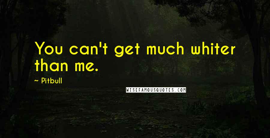 Pitbull Quotes: You can't get much whiter than me.