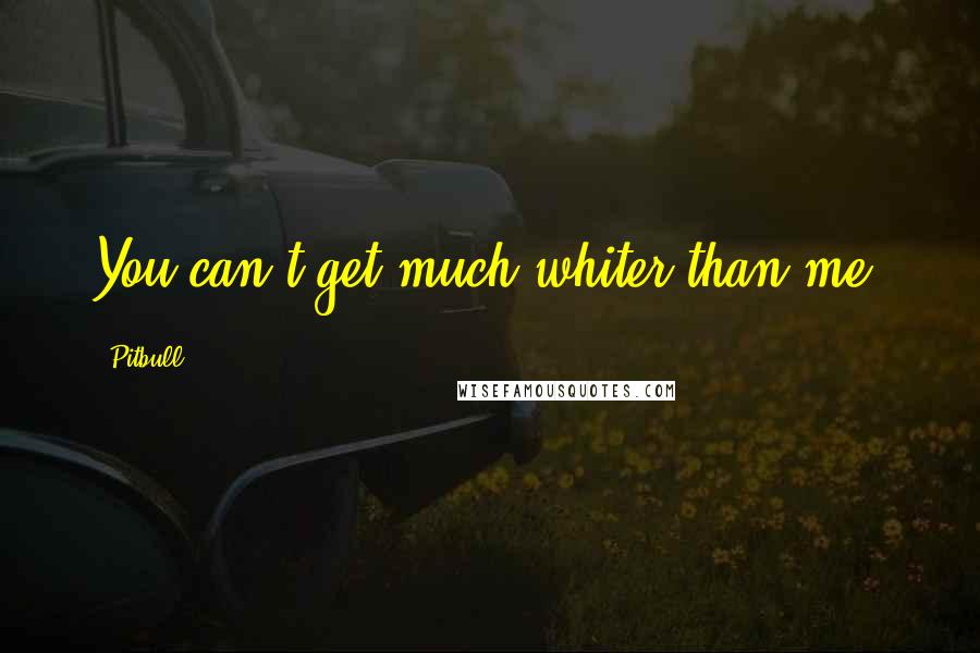 Pitbull Quotes: You can't get much whiter than me.