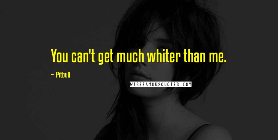 Pitbull Quotes: You can't get much whiter than me.