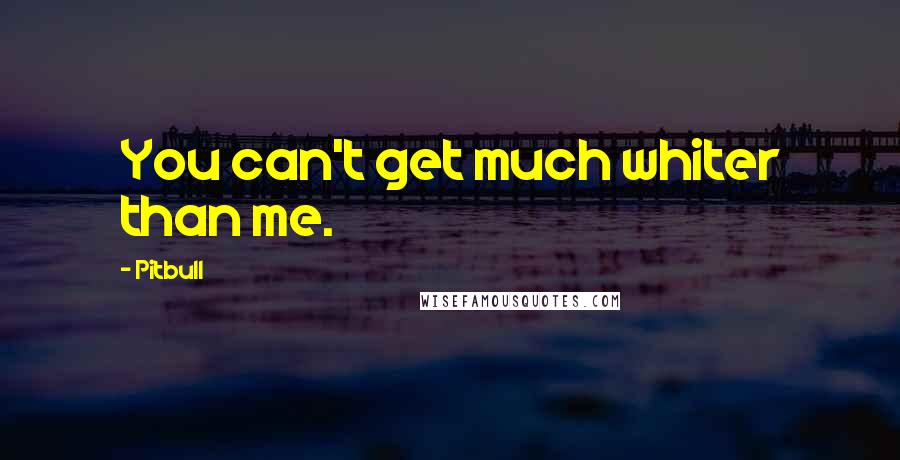 Pitbull Quotes: You can't get much whiter than me.