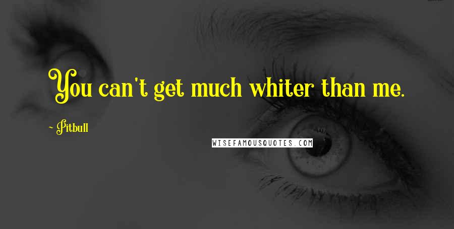 Pitbull Quotes: You can't get much whiter than me.