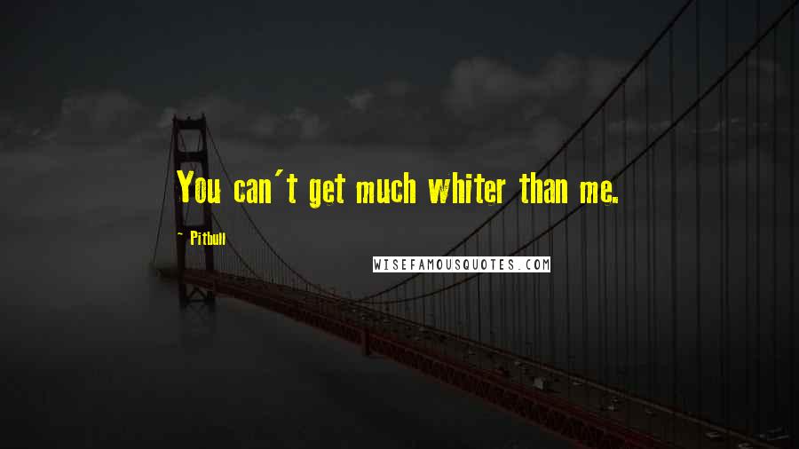 Pitbull Quotes: You can't get much whiter than me.