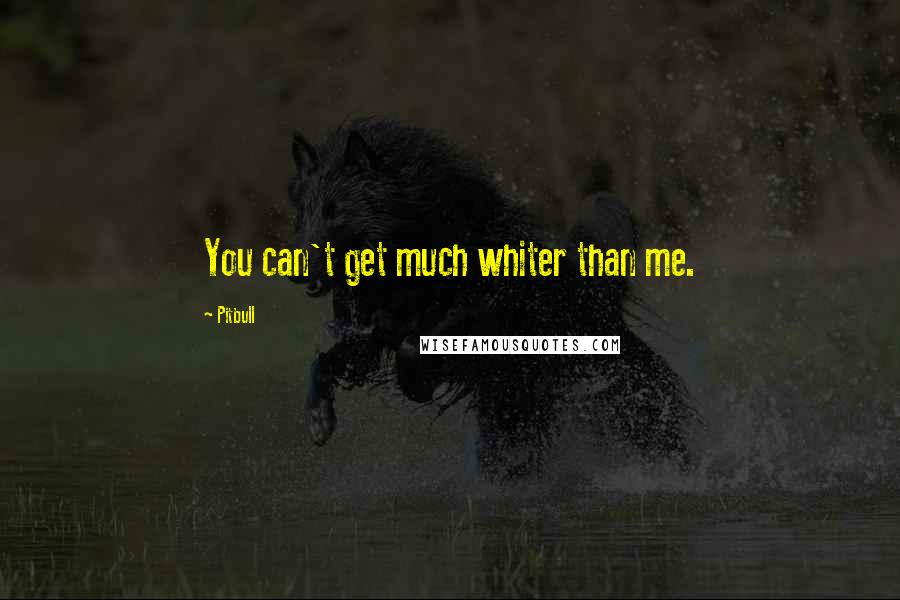 Pitbull Quotes: You can't get much whiter than me.