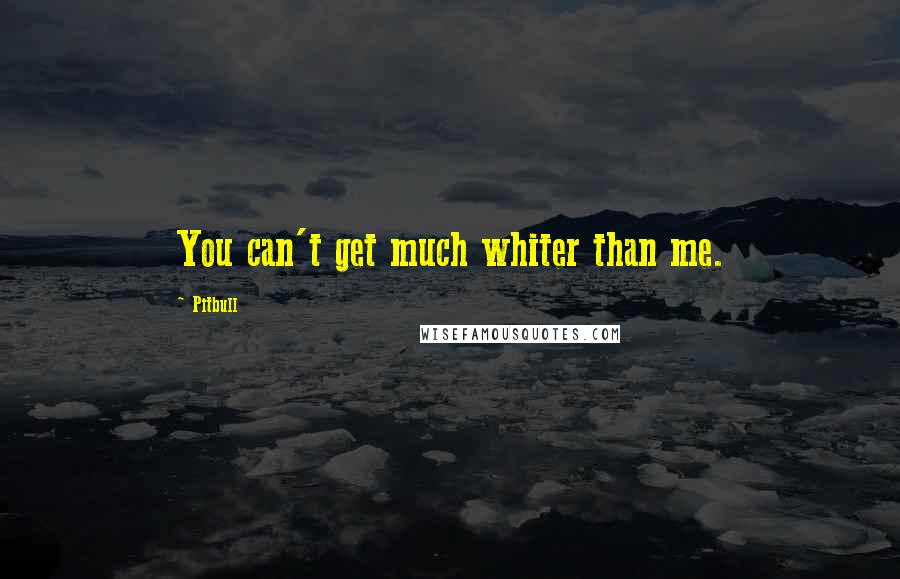 Pitbull Quotes: You can't get much whiter than me.