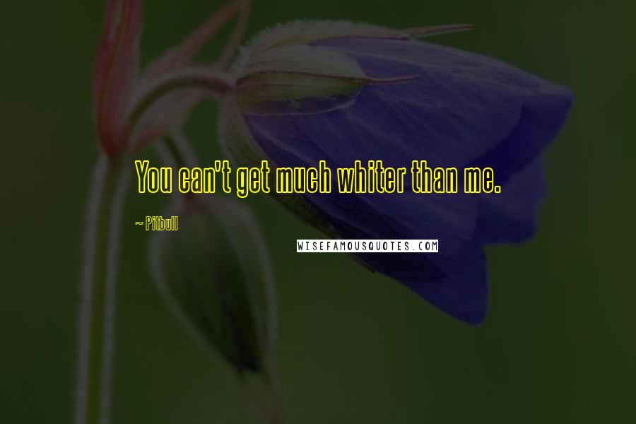 Pitbull Quotes: You can't get much whiter than me.
