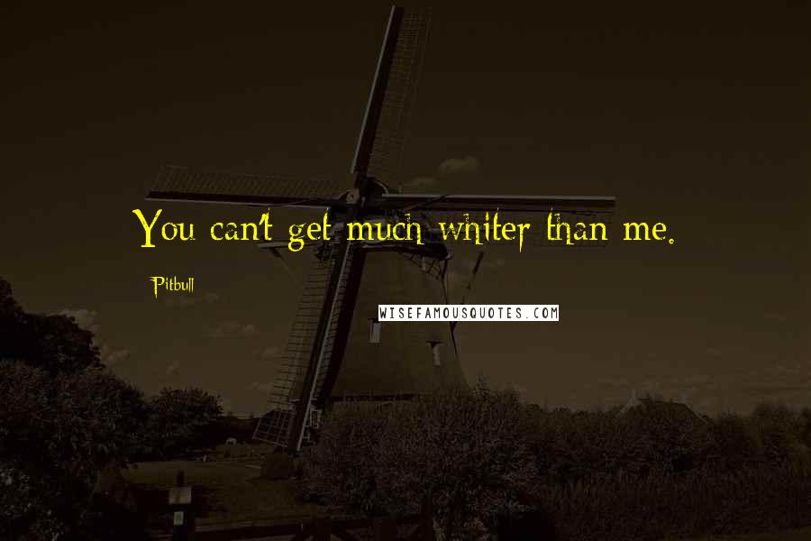 Pitbull Quotes: You can't get much whiter than me.