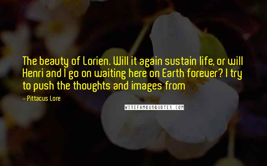Pittacus Lore Quotes: The beauty of Lorien. Will it again sustain life, or will Henri and I go on waiting here on Earth forever? I try to push the thoughts and images from