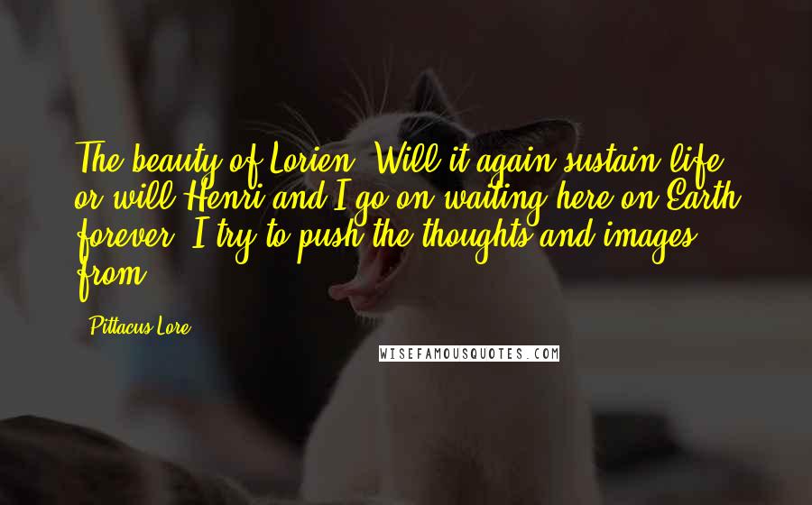 Pittacus Lore Quotes: The beauty of Lorien. Will it again sustain life, or will Henri and I go on waiting here on Earth forever? I try to push the thoughts and images from