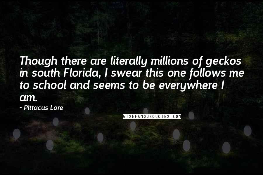 Pittacus Lore Quotes: Though there are literally millions of geckos in south Florida, I swear this one follows me to school and seems to be everywhere I am.