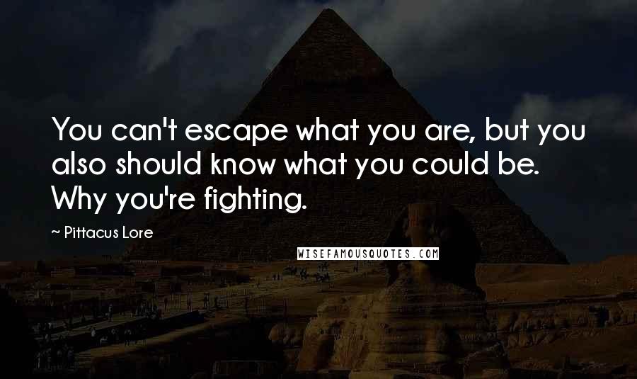 Pittacus Lore Quotes: You can't escape what you are, but you also should know what you could be. Why you're fighting.