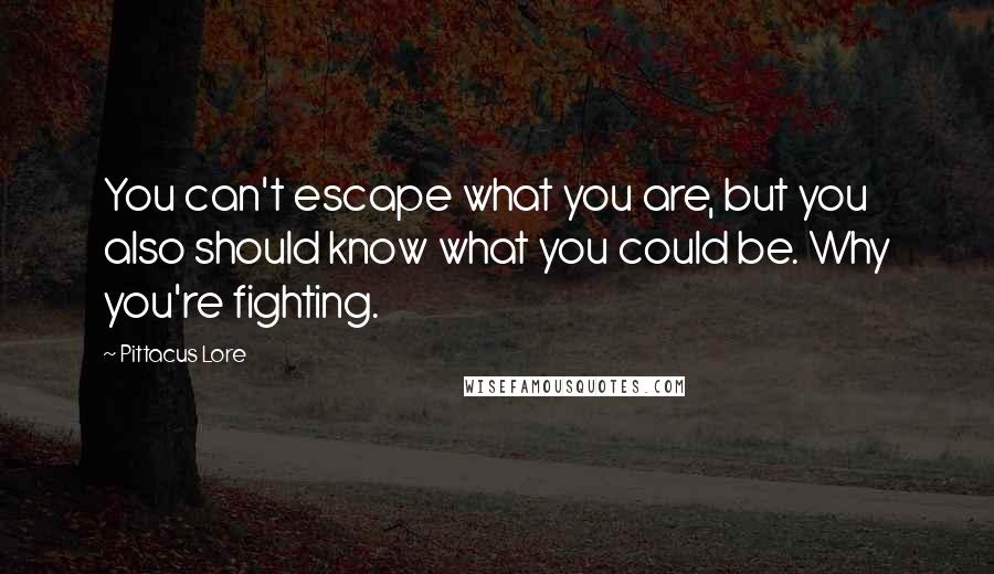 Pittacus Lore Quotes: You can't escape what you are, but you also should know what you could be. Why you're fighting.