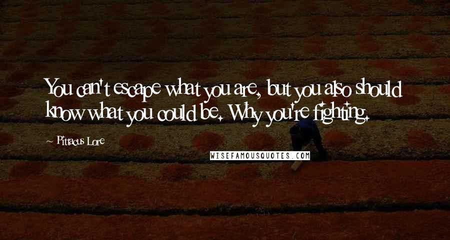 Pittacus Lore Quotes: You can't escape what you are, but you also should know what you could be. Why you're fighting.