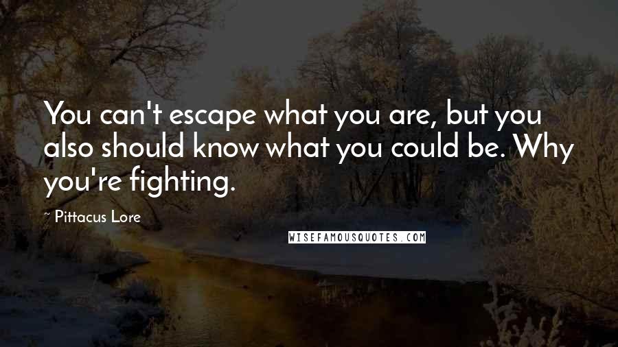 Pittacus Lore Quotes: You can't escape what you are, but you also should know what you could be. Why you're fighting.