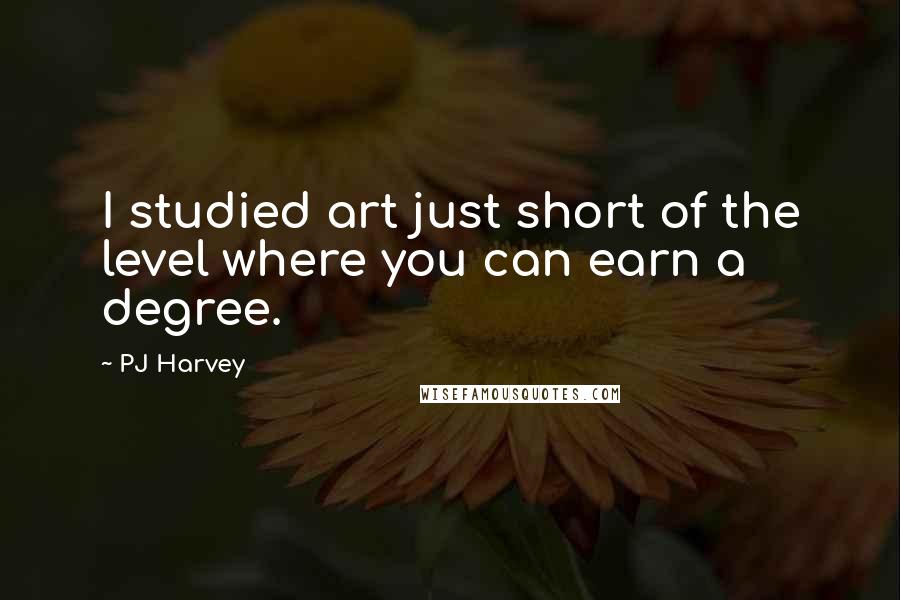 PJ Harvey Quotes: I studied art just short of the level where you can earn a degree.