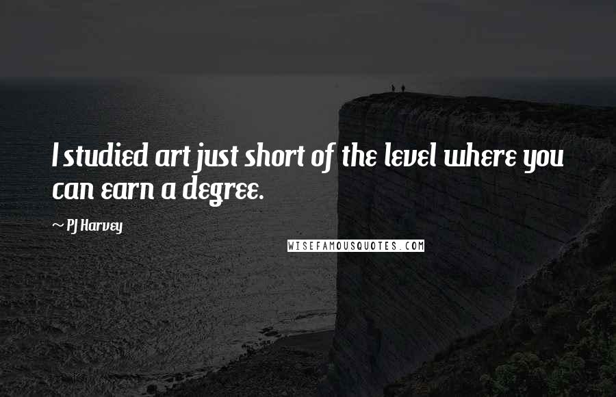 PJ Harvey Quotes: I studied art just short of the level where you can earn a degree.