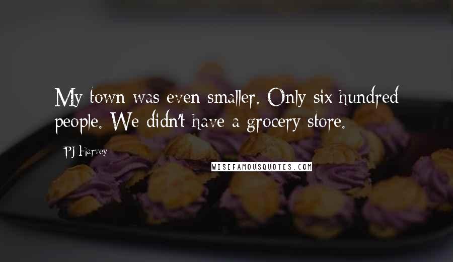 PJ Harvey Quotes: My town was even smaller. Only six hundred people. We didn't have a grocery store.