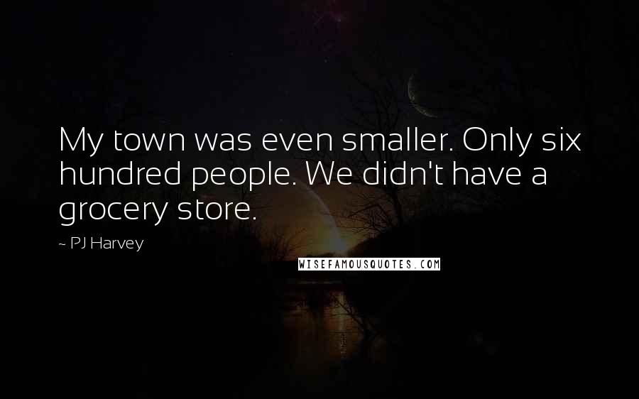 PJ Harvey Quotes: My town was even smaller. Only six hundred people. We didn't have a grocery store.