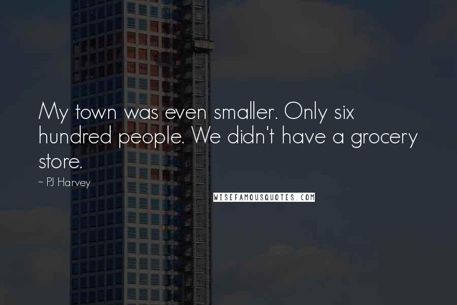 PJ Harvey Quotes: My town was even smaller. Only six hundred people. We didn't have a grocery store.