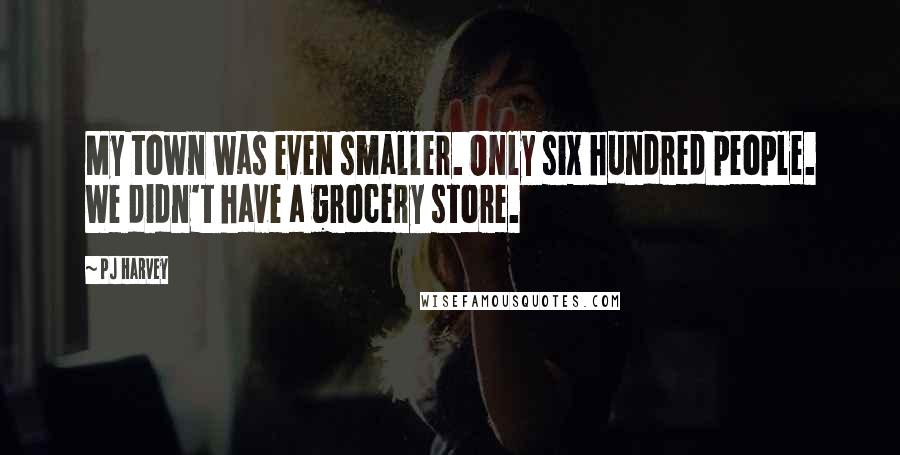 PJ Harvey Quotes: My town was even smaller. Only six hundred people. We didn't have a grocery store.