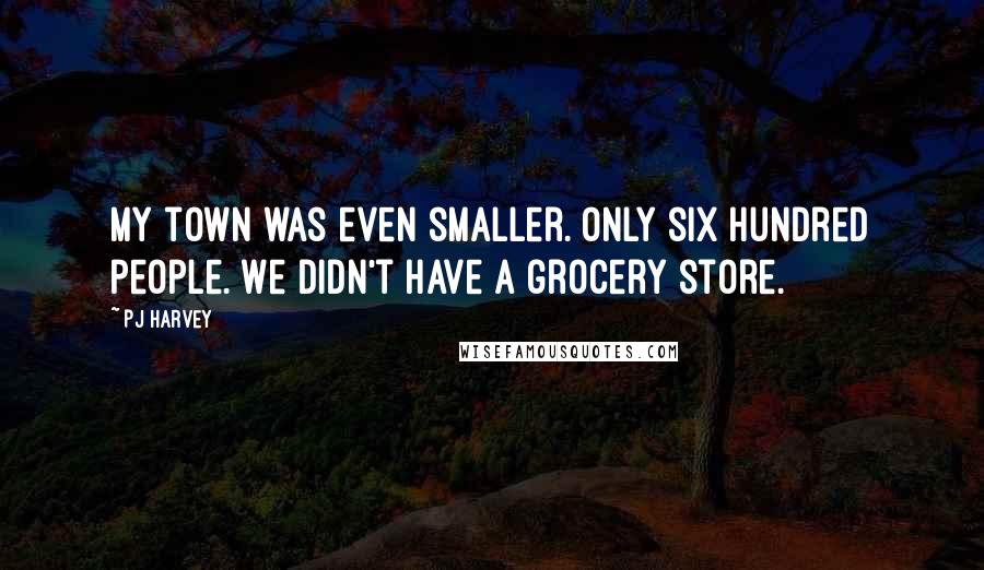 PJ Harvey Quotes: My town was even smaller. Only six hundred people. We didn't have a grocery store.
