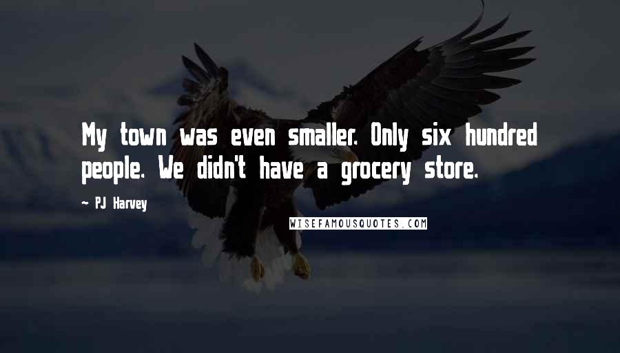 PJ Harvey Quotes: My town was even smaller. Only six hundred people. We didn't have a grocery store.