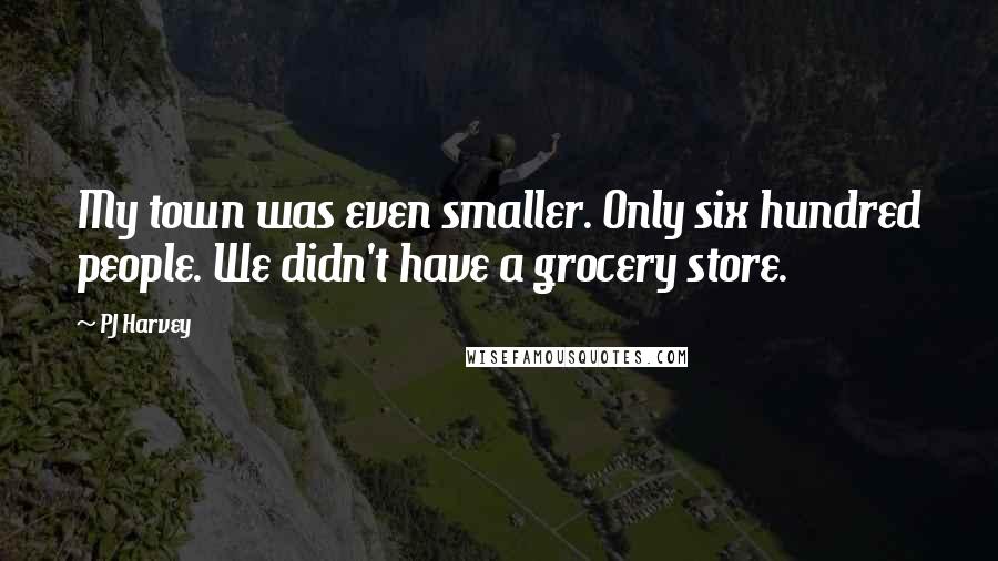 PJ Harvey Quotes: My town was even smaller. Only six hundred people. We didn't have a grocery store.