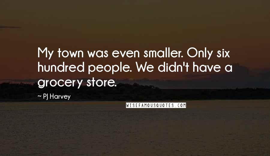PJ Harvey Quotes: My town was even smaller. Only six hundred people. We didn't have a grocery store.