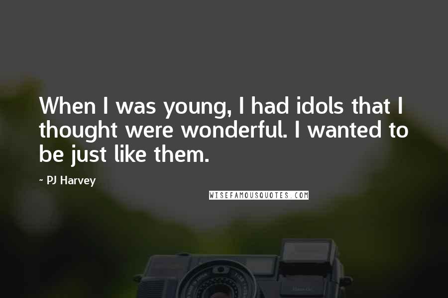 PJ Harvey Quotes: When I was young, I had idols that I thought were wonderful. I wanted to be just like them.