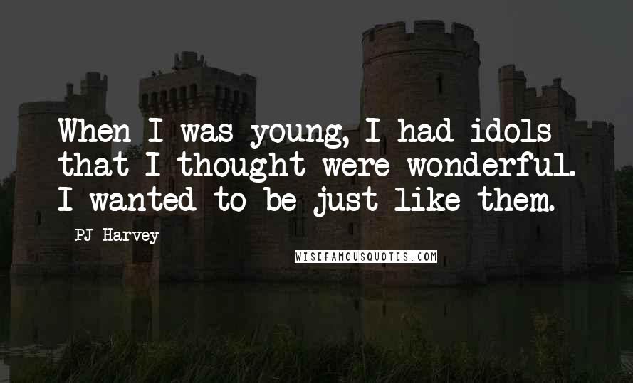 PJ Harvey Quotes: When I was young, I had idols that I thought were wonderful. I wanted to be just like them.