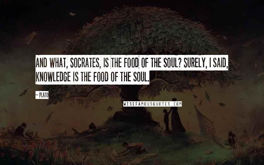 Plato Quotes: And what, Socrates, is the food of the soul? Surely, I said, knowledge is the food of the soul.