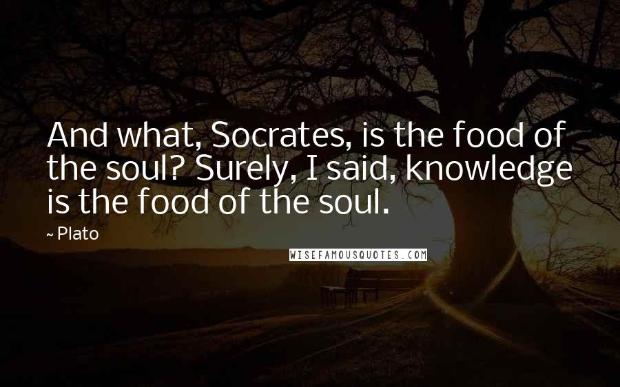 Plato Quotes: And what, Socrates, is the food of the soul? Surely, I said, knowledge is the food of the soul.