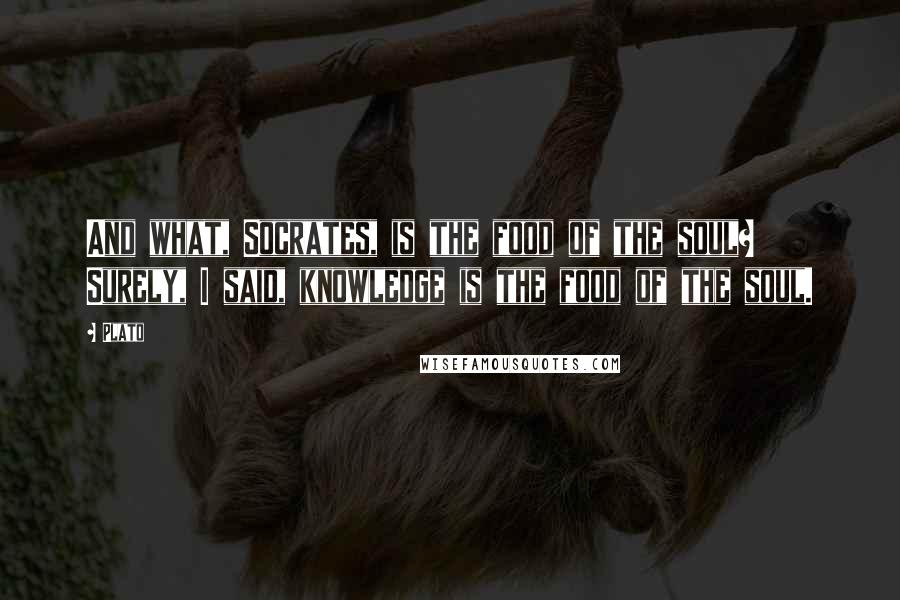 Plato Quotes: And what, Socrates, is the food of the soul? Surely, I said, knowledge is the food of the soul.