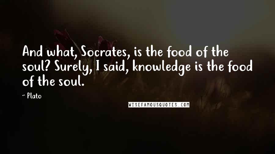 Plato Quotes: And what, Socrates, is the food of the soul? Surely, I said, knowledge is the food of the soul.