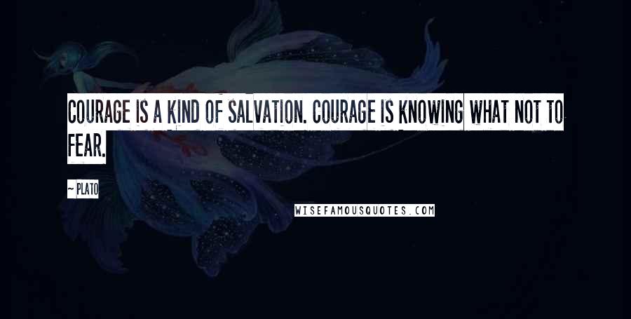 Plato Quotes: Courage is a kind of salvation. Courage is knowing what not to fear.