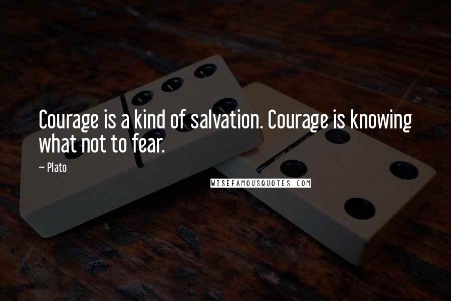 Plato Quotes: Courage is a kind of salvation. Courage is knowing what not to fear.
