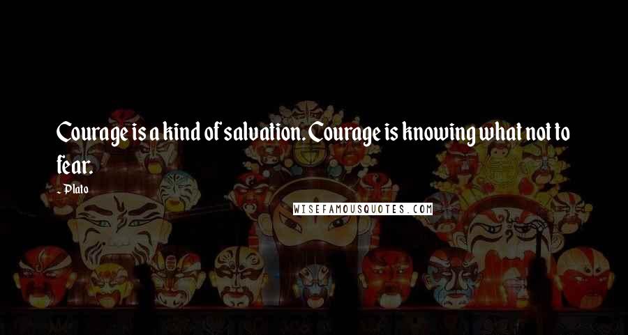 Plato Quotes: Courage is a kind of salvation. Courage is knowing what not to fear.