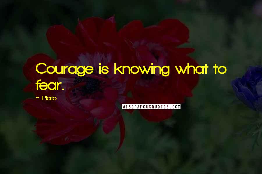 Plato Quotes: Courage is knowing what to fear.