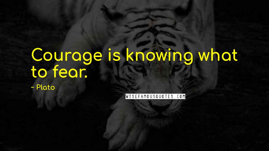 Plato Quotes: Courage is knowing what to fear.